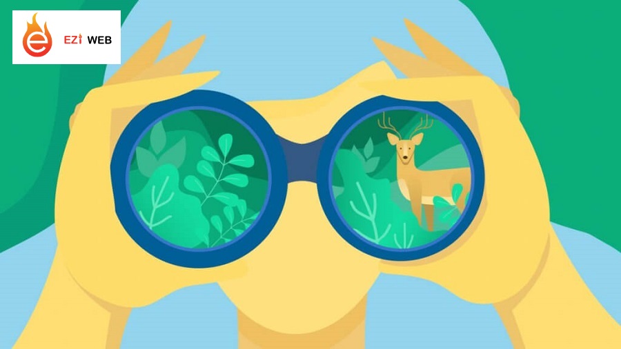 Thiết kế web chú trọng điều hướng người dùng