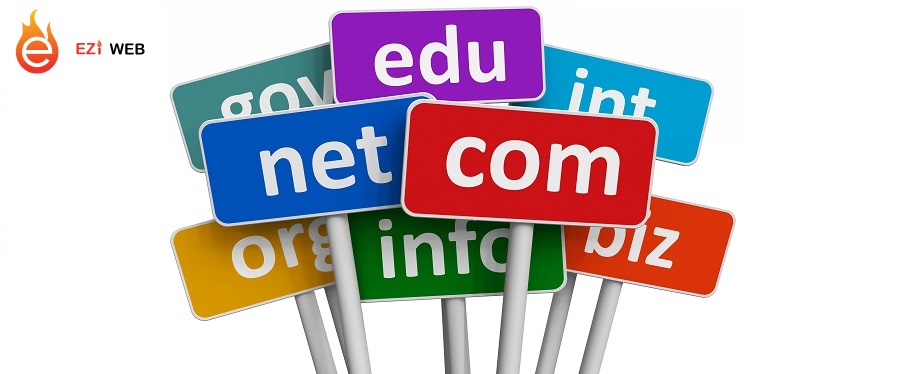 Nên cân nhắc khi đặt tên miền website và đuôi tên miền cho trang web
