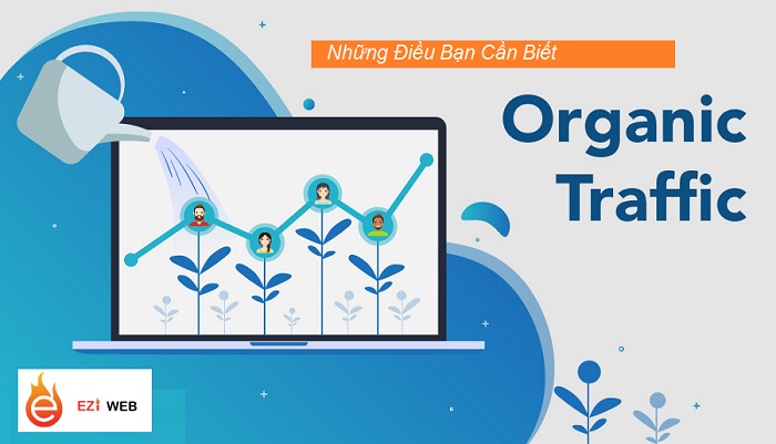 Organic Traffic Là Gì? Vai Trò Của Organic Traffic Trong SEO Website
